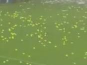 supporteurs foot lancent milliers balles tennis