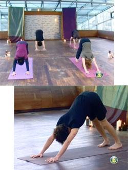 yoga-en-ligneB Le yoga en ligne