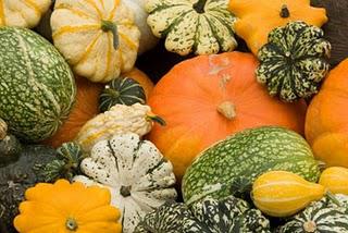 Les bienfaits des aliments d'automne : vite, au marché!