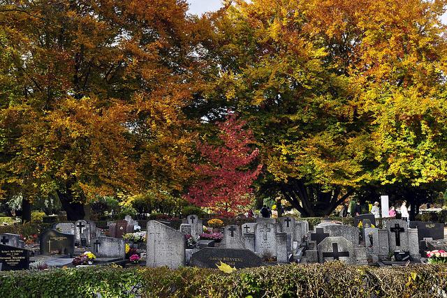 Automne au cimetière paysager de Clamart (6907)