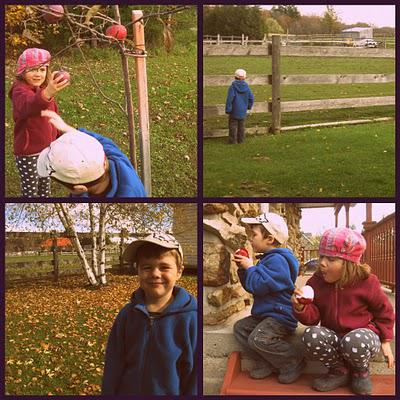 Maison-bonheur trouvée!