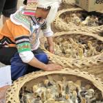 Yunnan – minorités ethniques