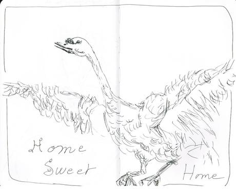 « Toute ma vie, j’ai rêvé d’avoir les fesses en l’air » (2ème épisode de Course poursuite)