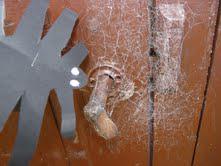  Des araignées dans le plafond et truc des MissAuVert