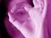 Education Zéro pointé pour l'UMP