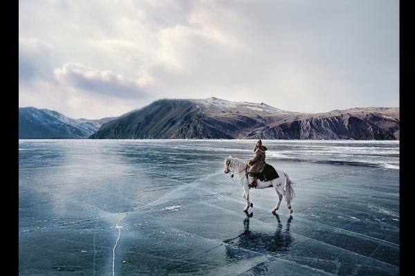 siberie,glace,cheval,lac