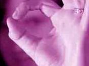 Education Zéro pointé pour l’UMP