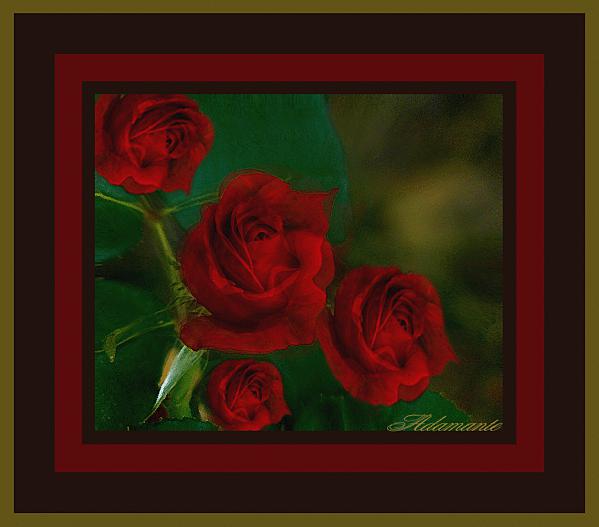 P1040498BT ROSEok copie