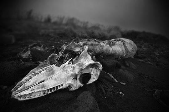 Ásmundur Þorkelsson