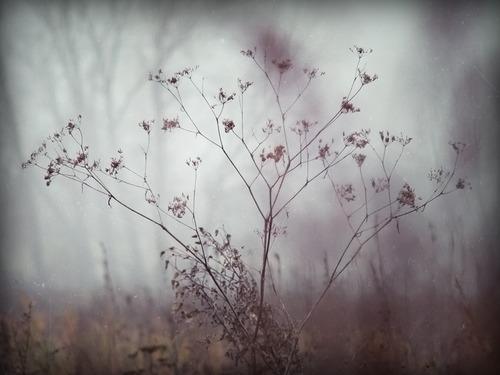 Petits plaisirs de Novembre