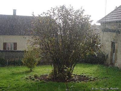 Automne (Corner View)