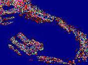 Lumière tremblante (Michel Thion)