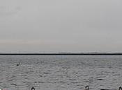 Cigogne blog trotteuse