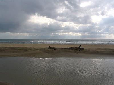 Cigogne blog - trotteuse