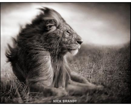 exposition photo à La Gacilly