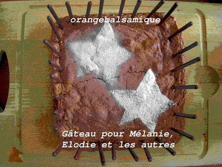 G_teau_pour_M_lanie__Elodie_et_les_autres1