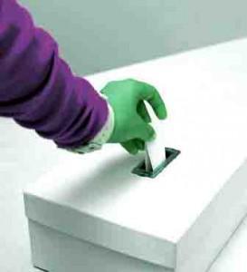 designation-candidat-cantonales-2011-vote1