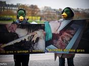 Rassemblement pour l'Abolition Foie gras. Paris.