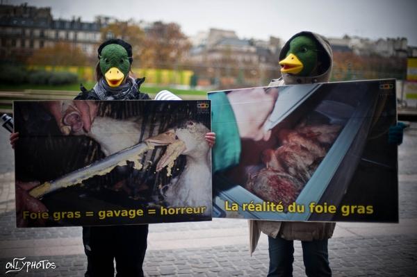 manifestation-anti-foie-gras-01