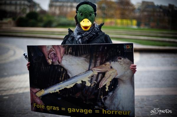 manifestation-anti-foie-gras-11