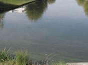 Emploi, Habitat, Déplacement Nature