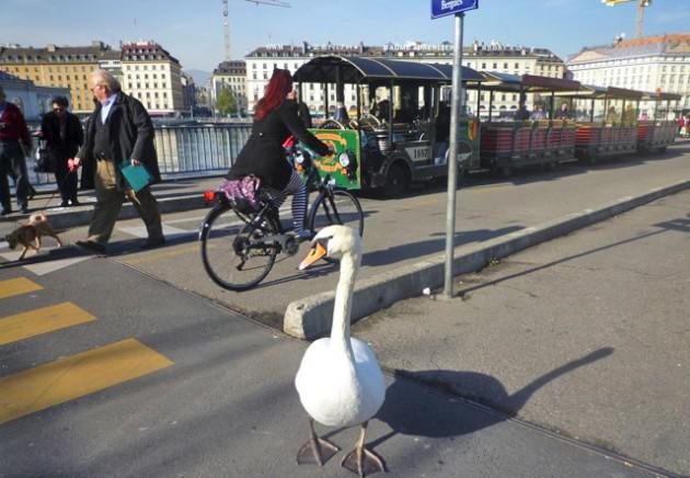 Sans titrec-ssssss.jpg