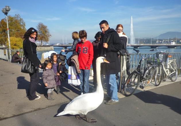 Sans titrecs-ssssss.jpg