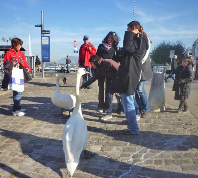 Sans titrefa-ssssss.jpg