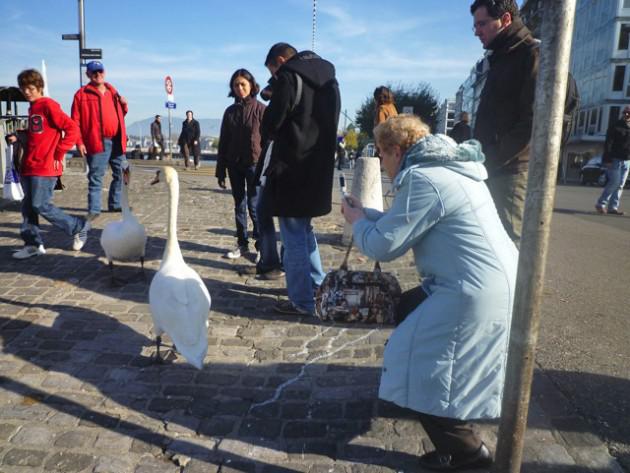 Sans titrefaaa-ssssss.jpg