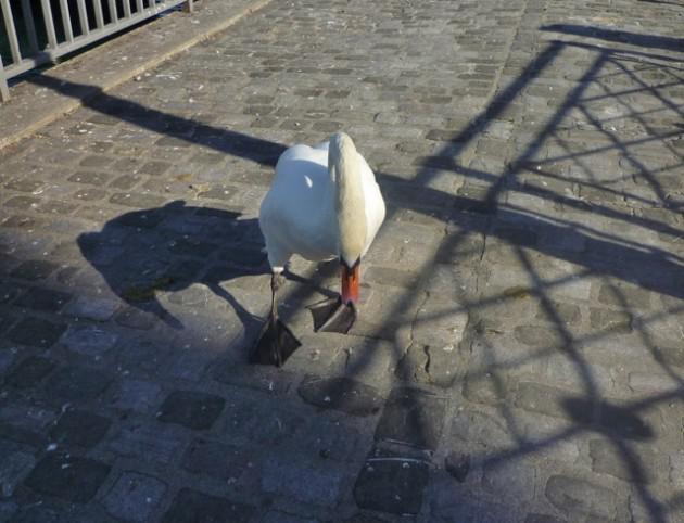 Sans titred-ssssss.jpg