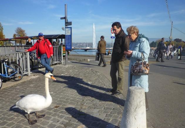 Sans titrefewgre-ssssss.jpg