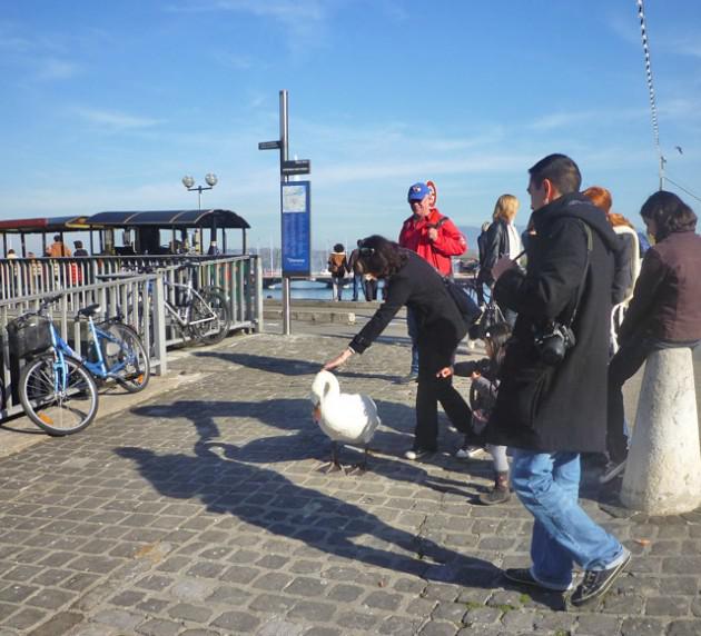 Sans titredaa-ssssss.jpg