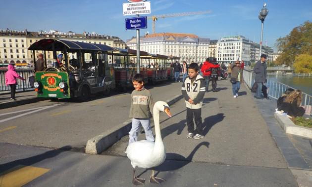 Sans titre-ssssss.jpg