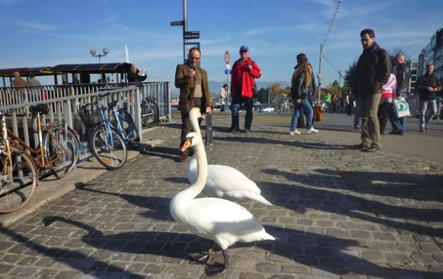 Sans titredsaq-ssssss.jpg