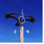 Un challenge que de gouverner deux mondes d'informations : donnée et contenu