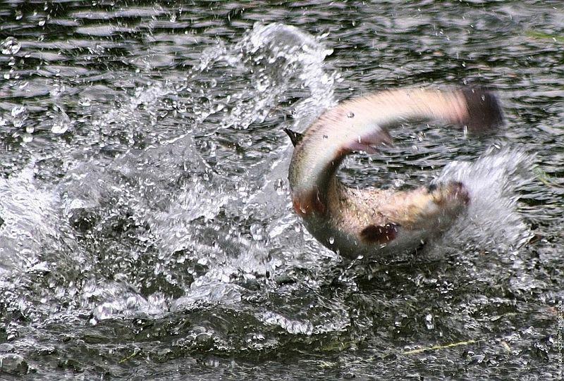 L’univers n’a pas de limites (Su Dongpo)