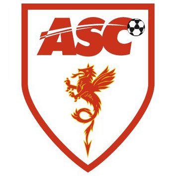 Foot / National : L'AS Cannes chute pour la première fois de la saison.