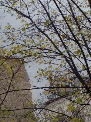 C'est si facile d'être déçue... ou remettre de la couleur