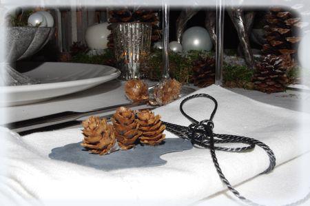 Aux pays des rennes... au_pays_des_rennes_025_modifi__1