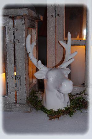 Aux pays des rennes... au_pays_des_rennes_055_modifi__1