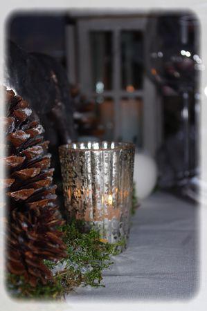 Aux pays des rennes... au_pays_des_rennes_022_modifi__1