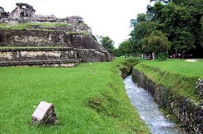 Les Mayas convertissaient les zones humides en terres cultivables
