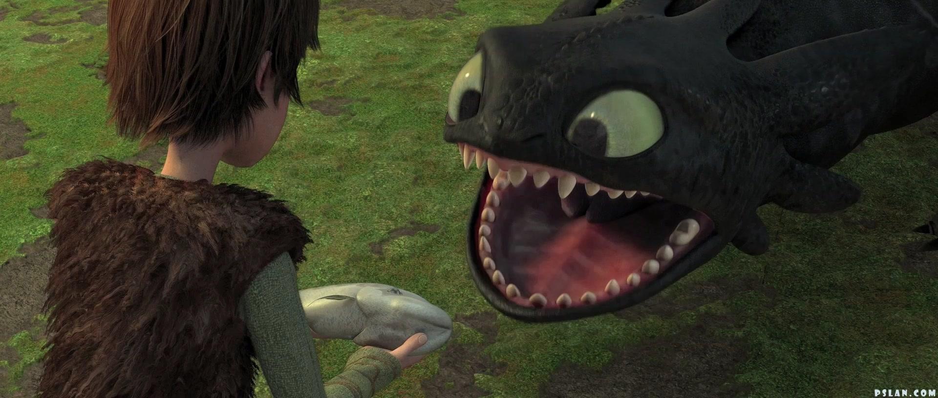 http://images2.fanpop.com/image/photos/9600000/Hiccup-Toothless-how-to-train-your-dragon-9626254-1920-816.jpg