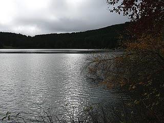 En Scenic entre Velay et Vivarais (2)