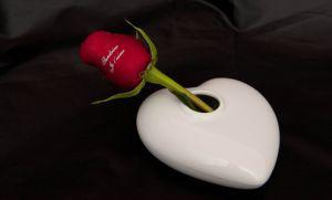 Idée cadeau de noel n°144 : une rose éternelle