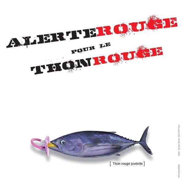 Le thon rouge vit ses derniers jours !?