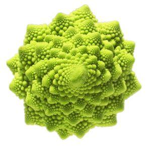 fractales-romanesco.jpg