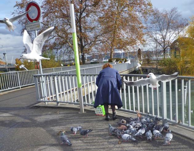 Sans titrecs-ssssss.jpg