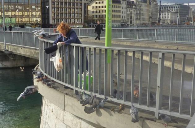 Sans titreaa-ssssss.jpg