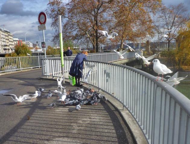 Sans titre-ssssss.jpg